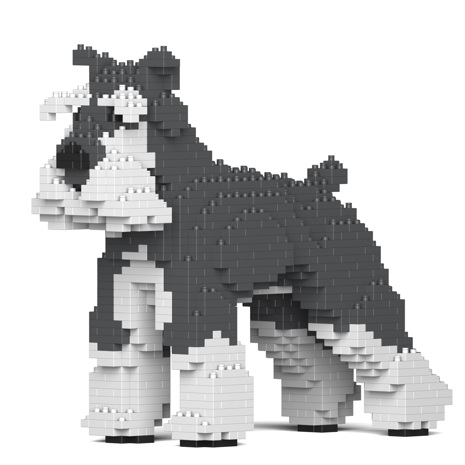 Zwergschnauzer Schwarz Silber | TikTok, image size:1600x1600