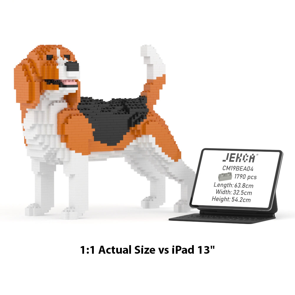 Beagle 04