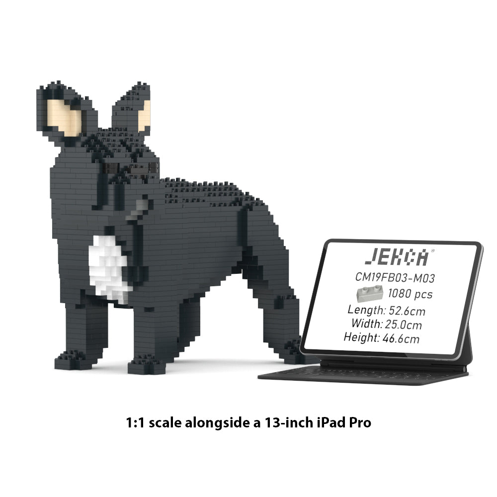 Francoski buldog 03-M03