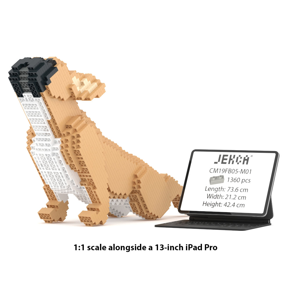 Francoski buldog 05-M01