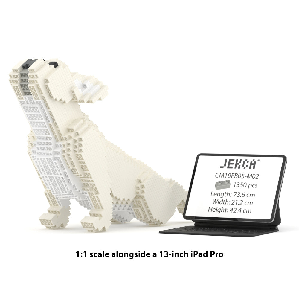 Francoski buldog 05-M02