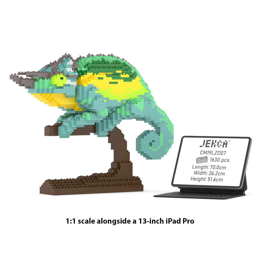 Jackson's Chameleon 01