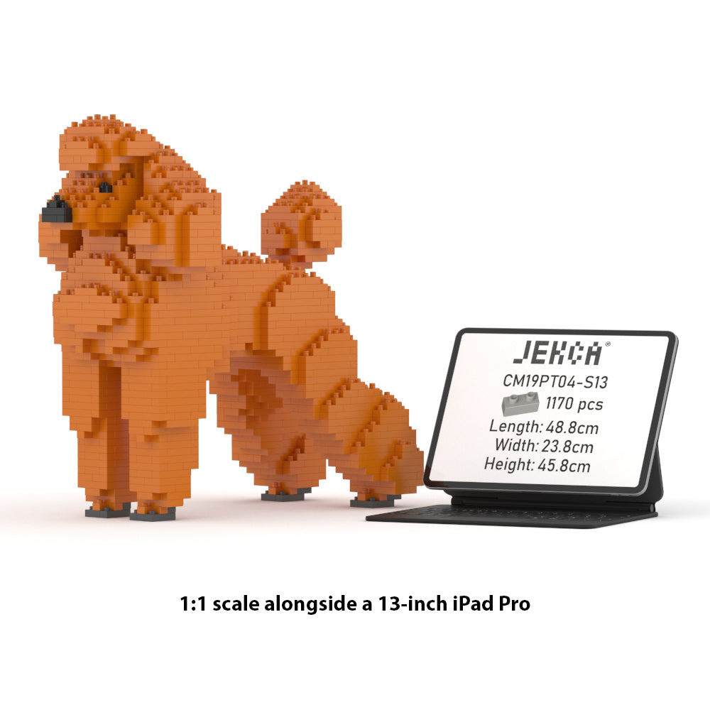 Standard Poodle 01-S13