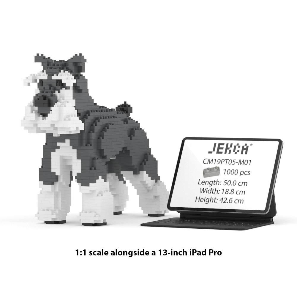 Standard Schnauzer 01-M01