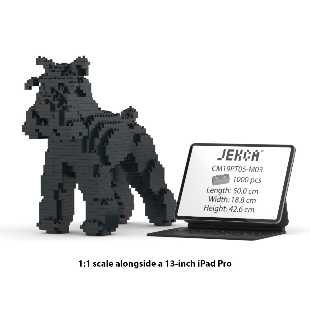 Standard Schnauzer 01-M03