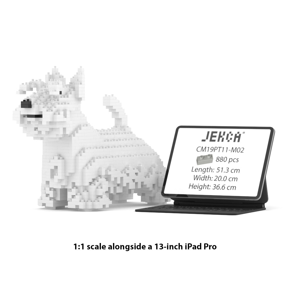 Scottish Terrier 01-M02