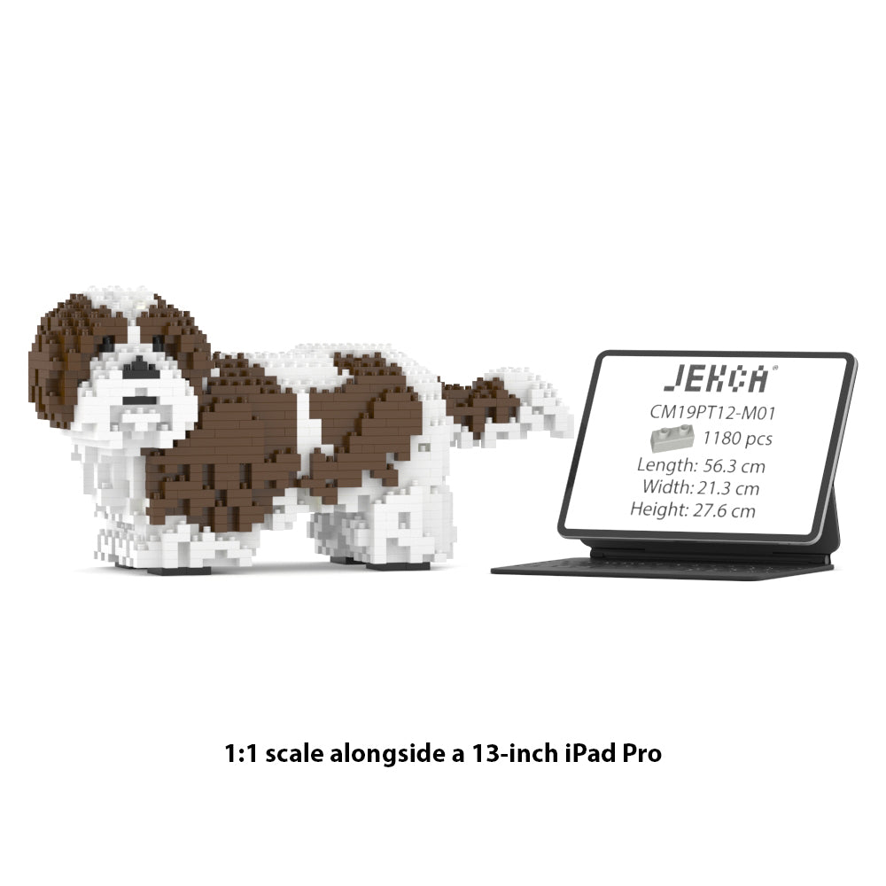 Shih Tzu 01-M01