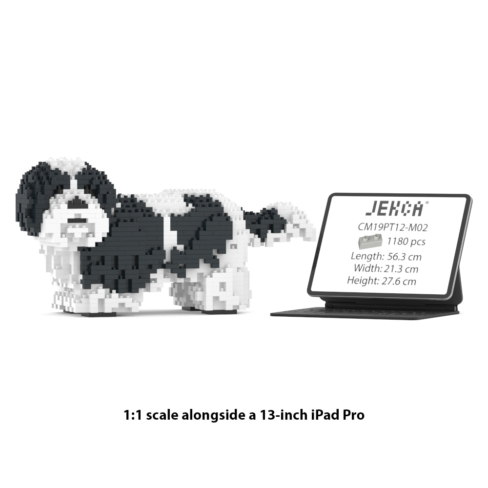 Shih Tzu 01-M02