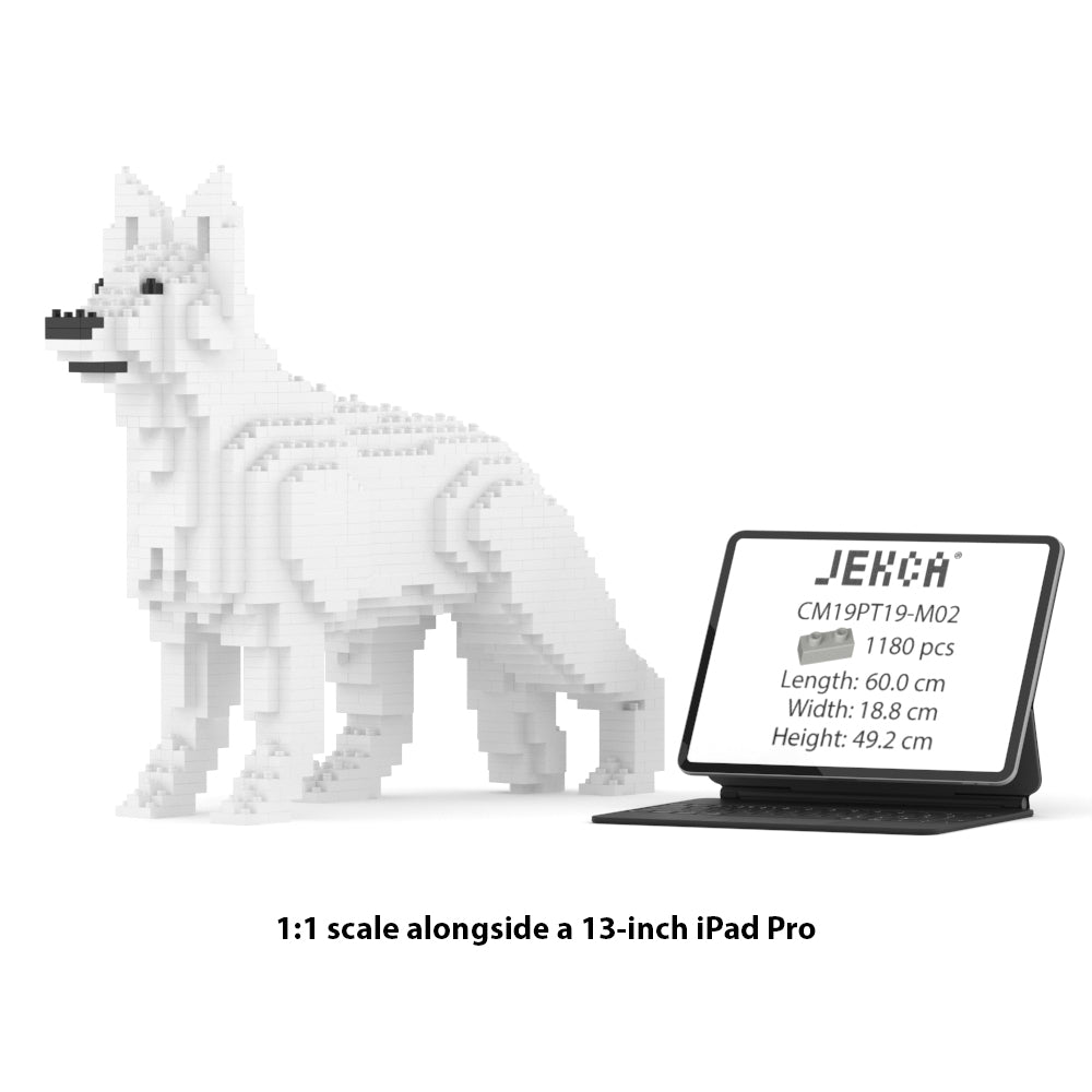 Vācu aitu suns 01-M02