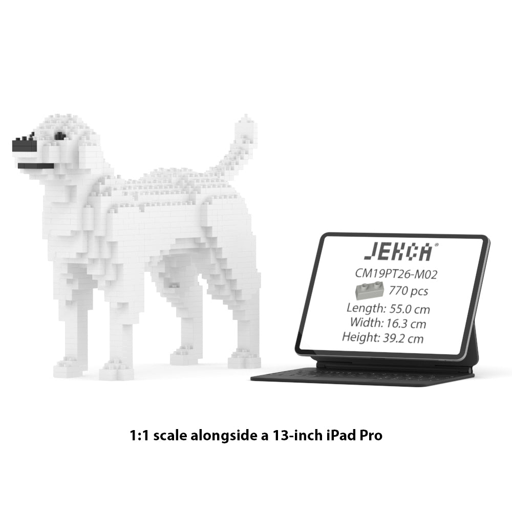 Labrador Retriever 01-M02