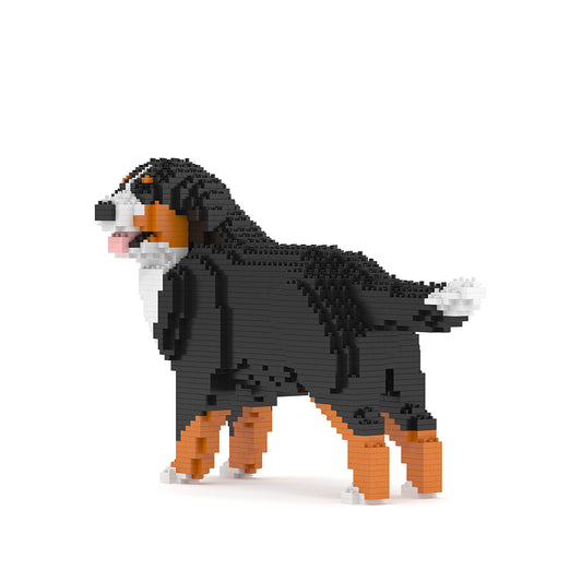 Berner Sennenhund 03B