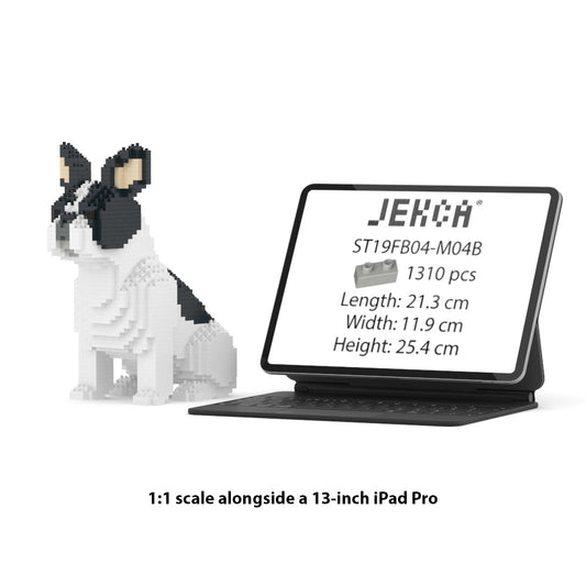 Französische Bulldogge 04-M04B