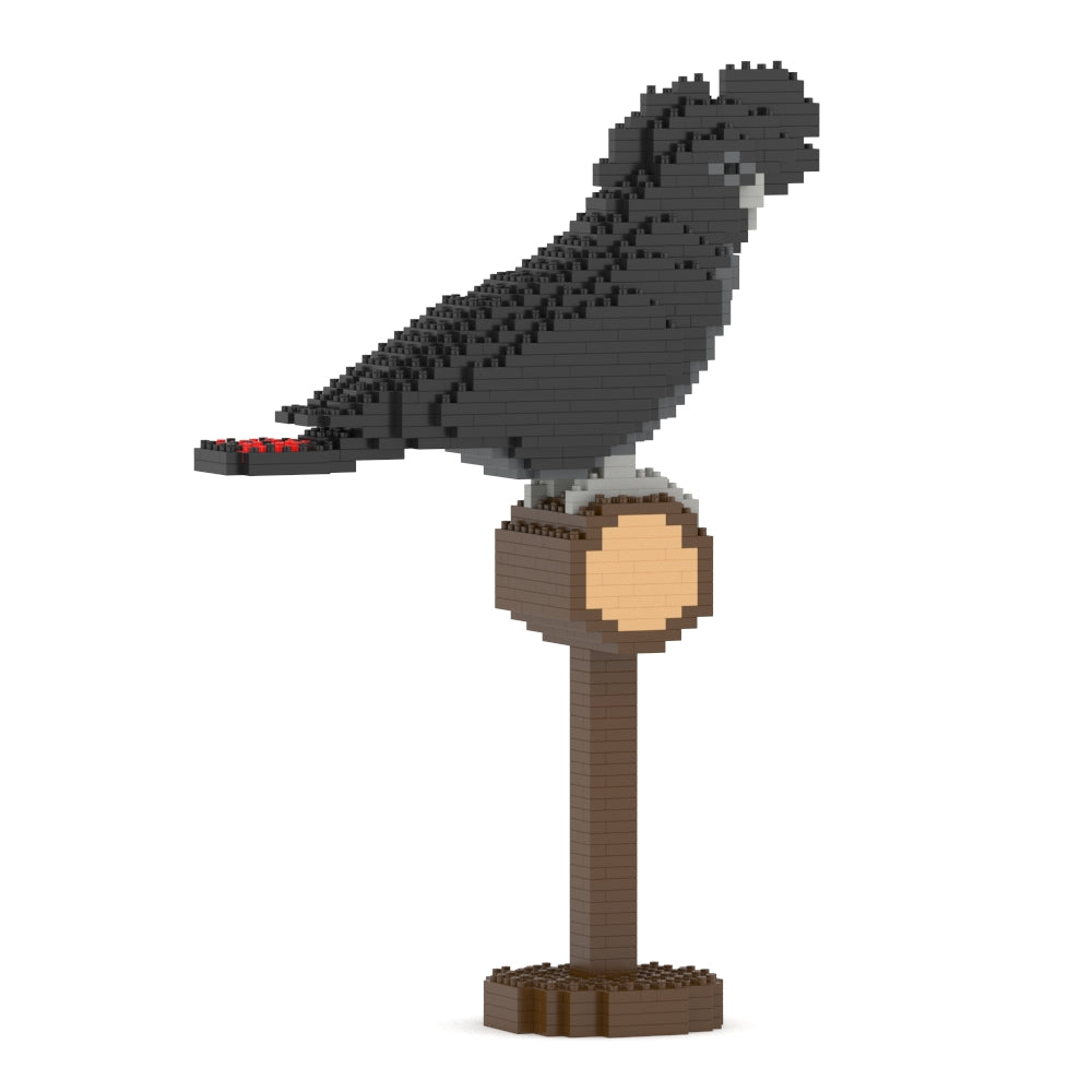 Cacatúa colirroja 01S