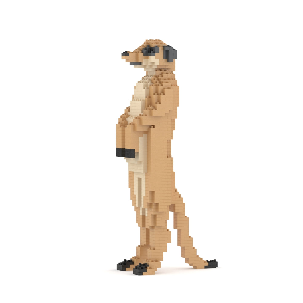 295194_5 295194_5