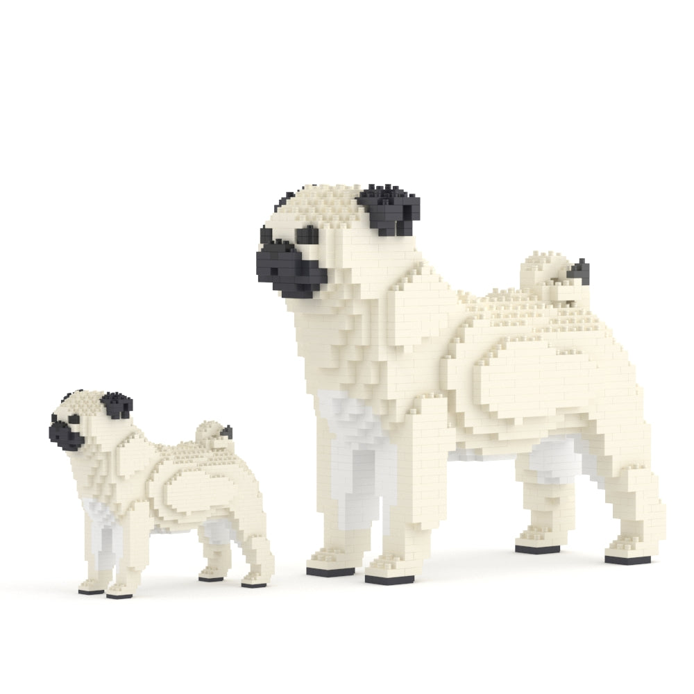 Pug 01-M03