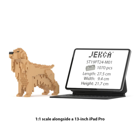 English Cocker Spaniel 01-M01