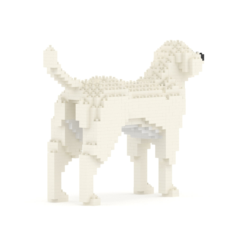 Labrador Retriever 01-M06