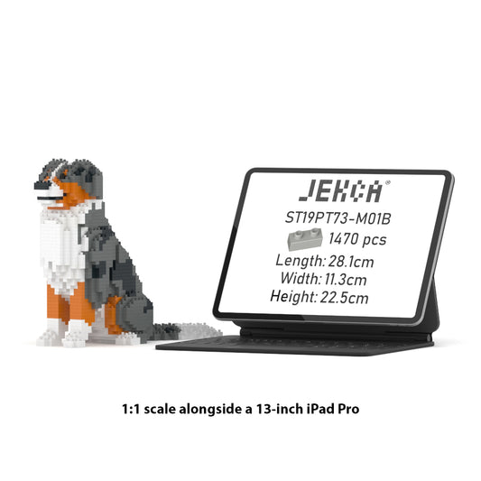 Australian Shepherd 01-M01B