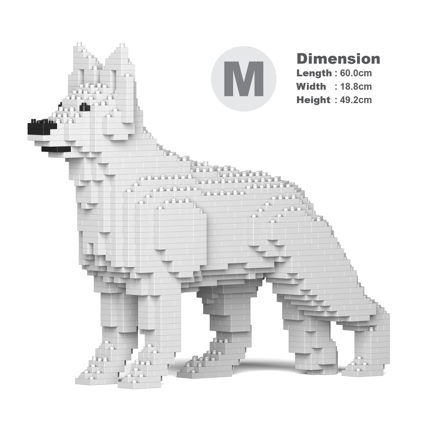 Nemški ovčar 01-M02