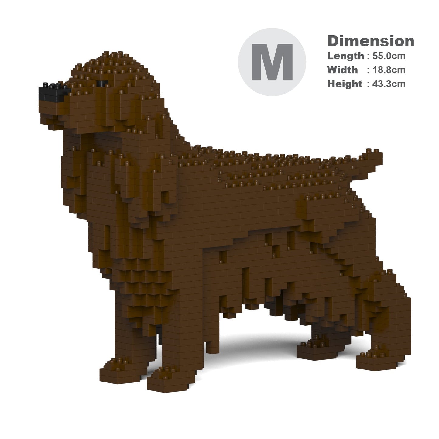 Angļu kokerspaniels 01-M04