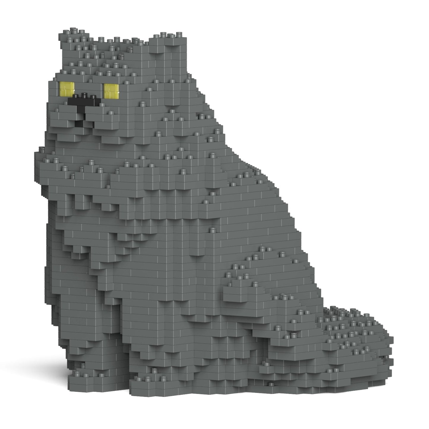 Persijas kaķis 01S-M02