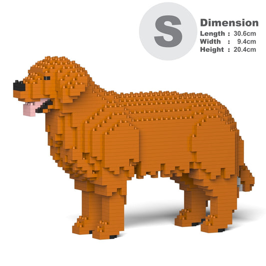 Golden Retriever 01-M01