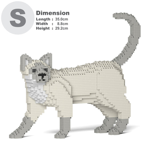 Tonkinas kaķis 02S-M02