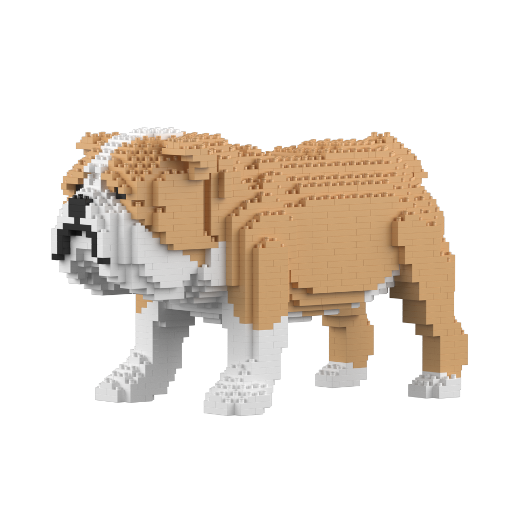 English Bulldog