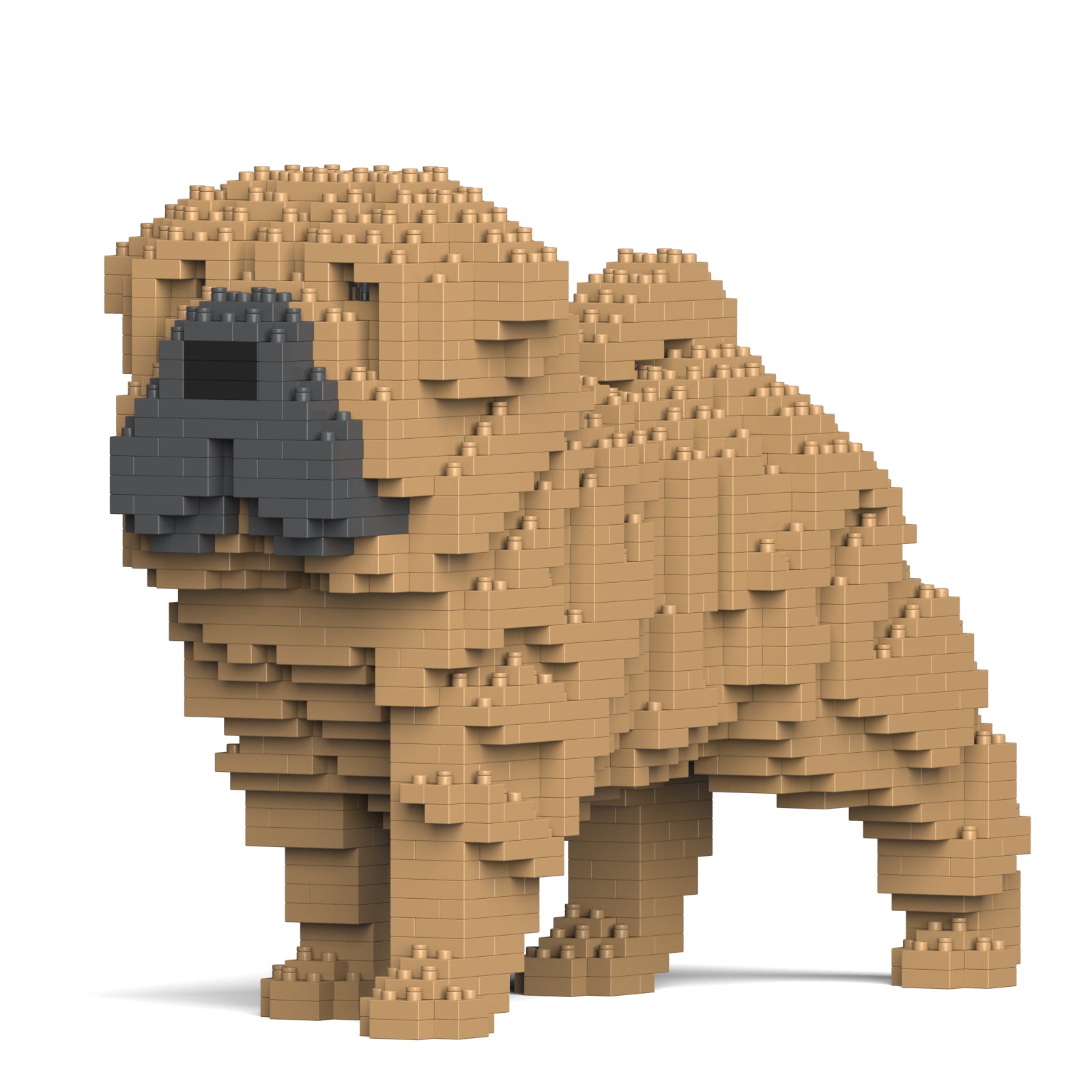 Shar-Pei – JEKCA EU