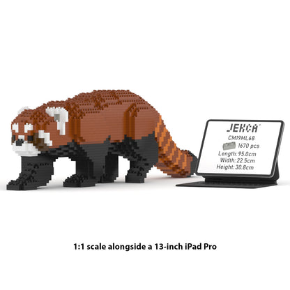 Red Panda 02