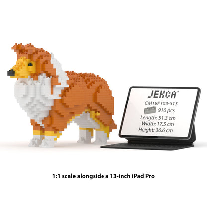 Shetland Sheepdog 01-S13