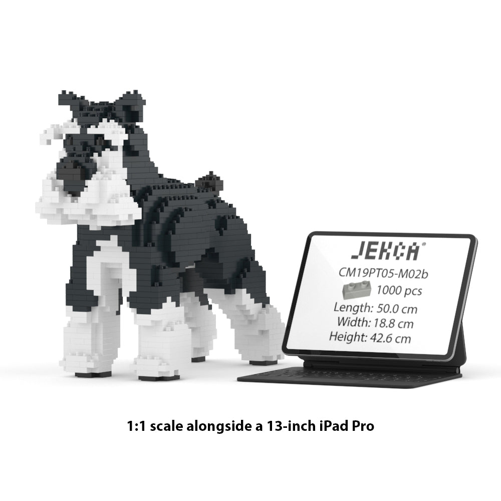 Standard Schnauzer 01-M02b