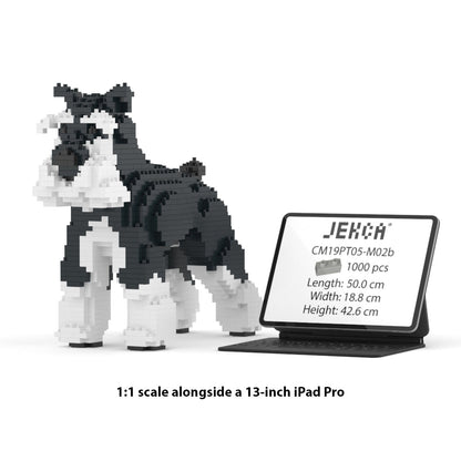 Standard Schnauzer 01-M02b