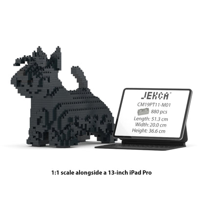 Scottish Terrier 01-M01