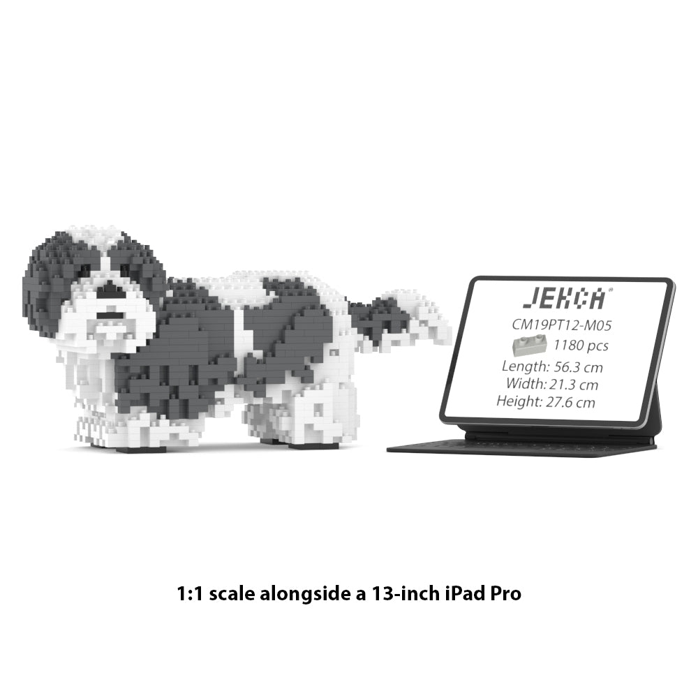 Shih Tzu 01-M05