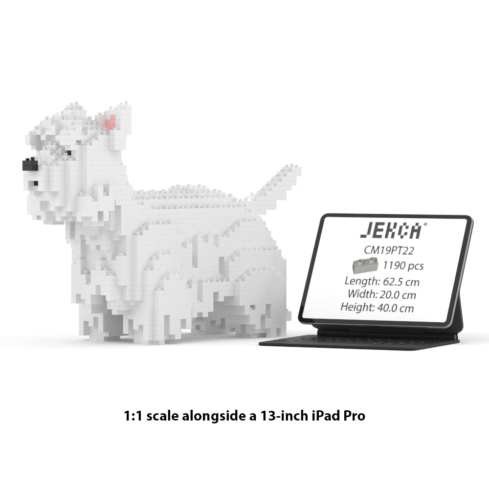 West Highland White Terrier 01