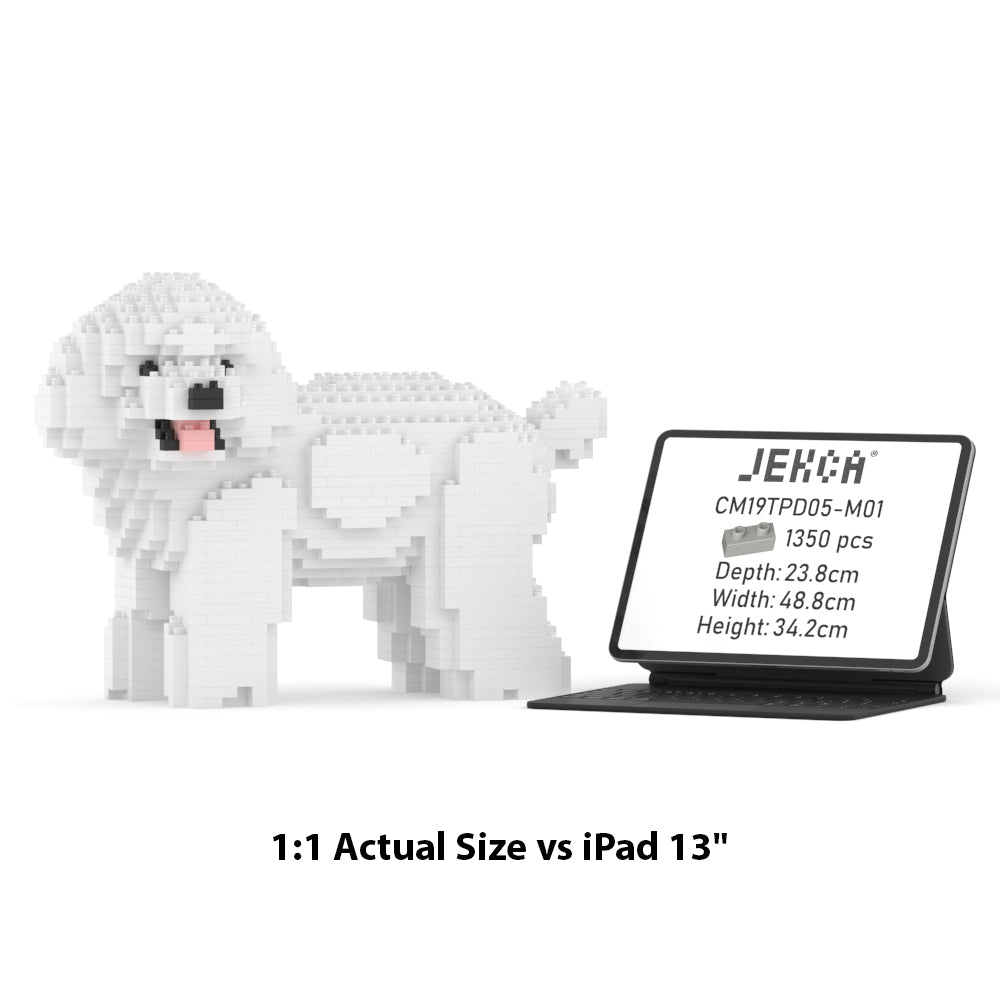 Toy Poodle 05-M01