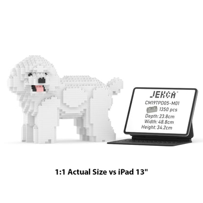 Toy Poodle 05-M01