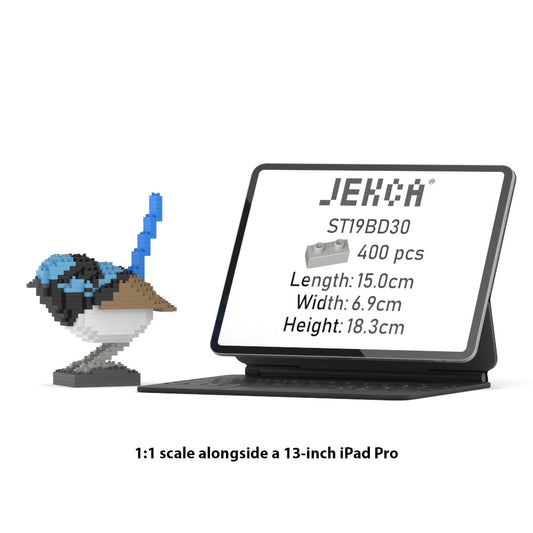 Scricciolo azzurro superbo 01S