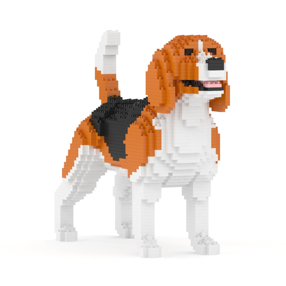Beagle 03