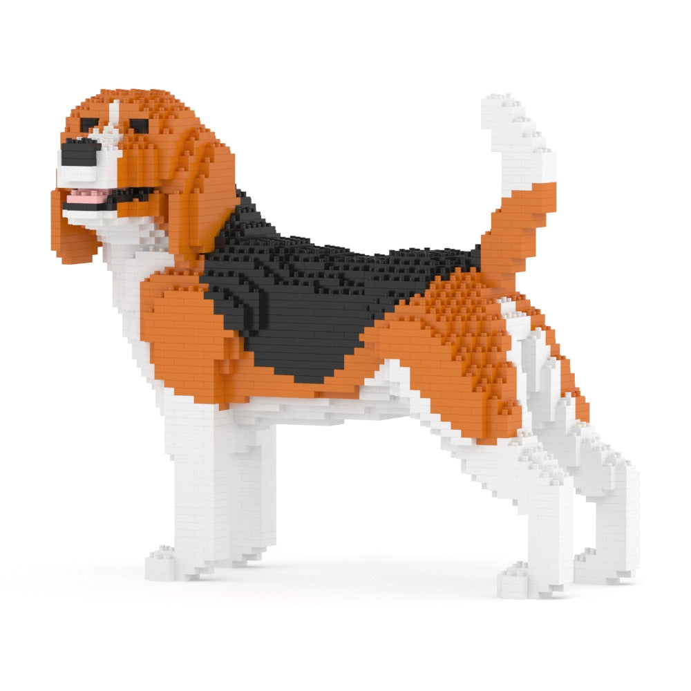 Beagle 04