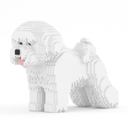 Bichon Frisé 02