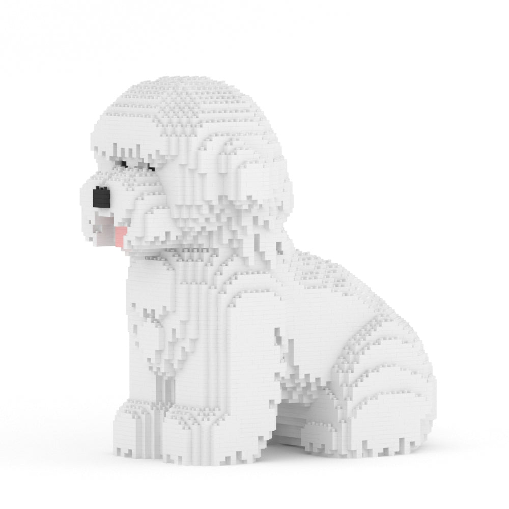 Bichon Frisé 03