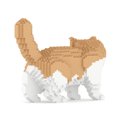 Exotic Shorthair kat 01S-M01