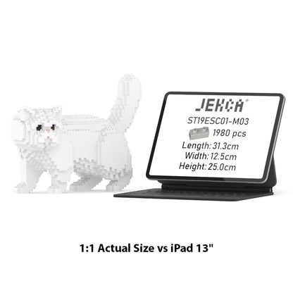 Exotická krátkosrstá kočka 01S-M03