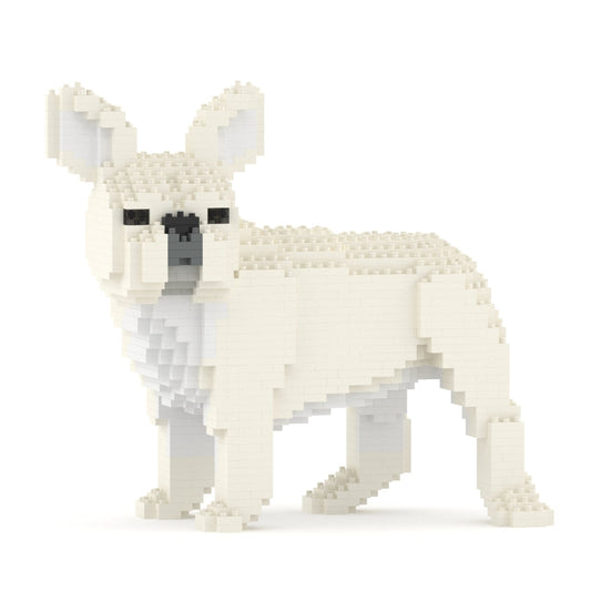 French Bulldog 03-M02