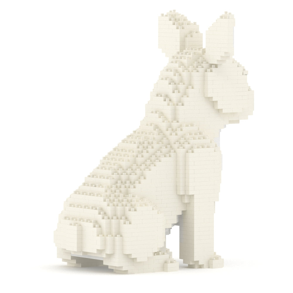 French Bulldog 04-M02