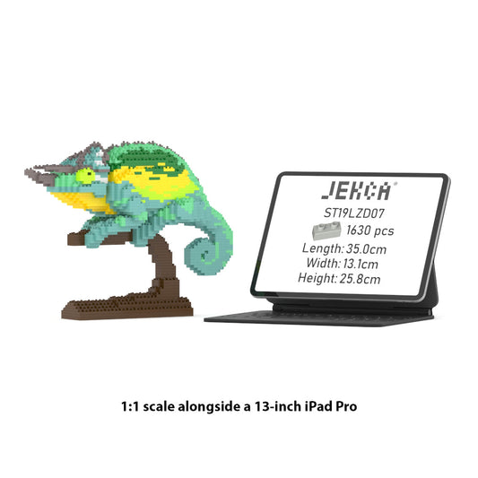 Jackson's Chameleon 01