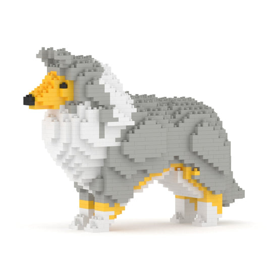 Shetland Sheepdog 01-M01