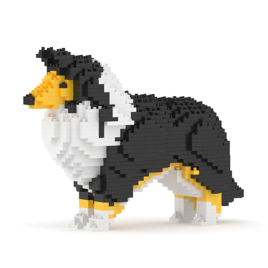 Shetland Sheepdog 01-S02